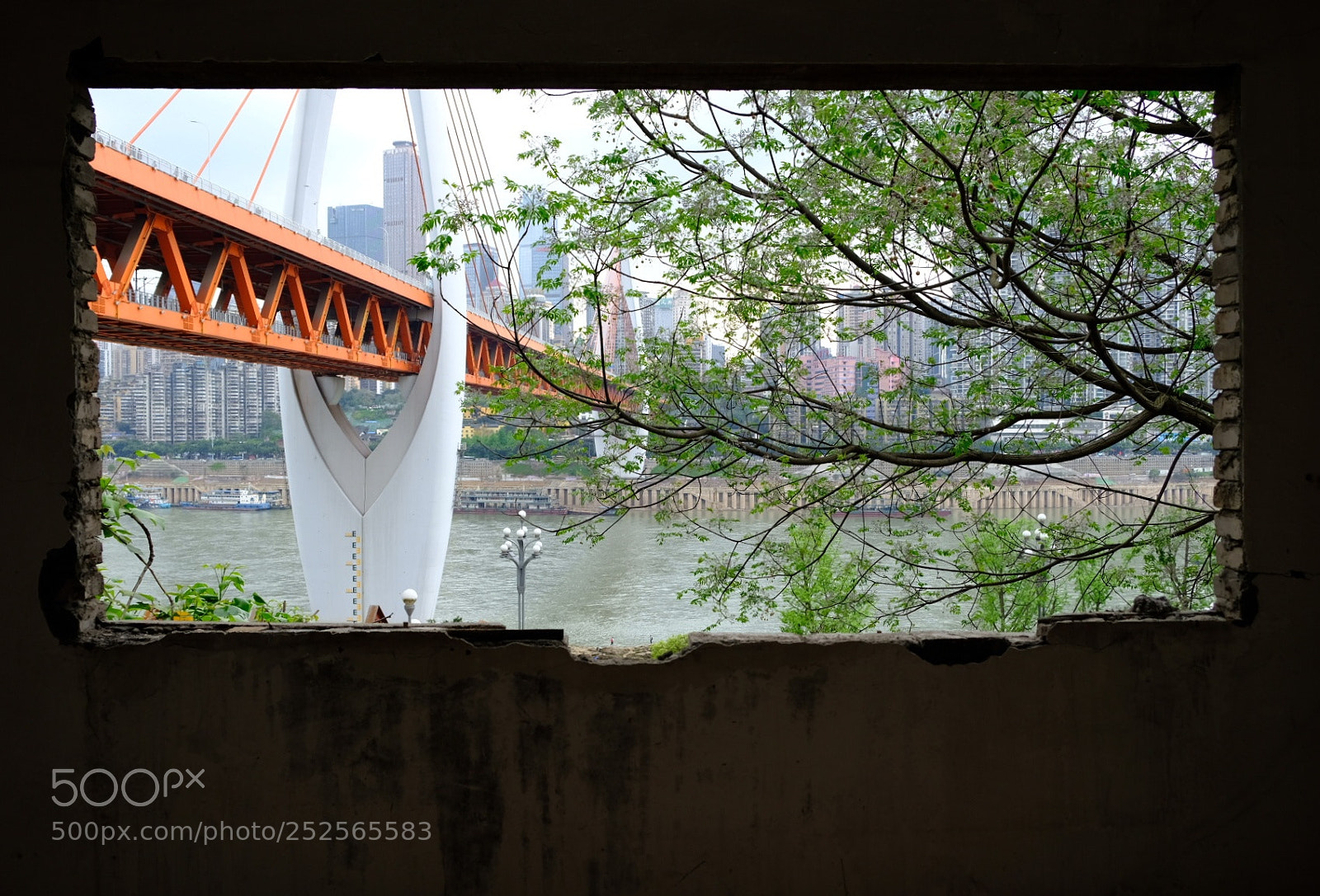 Fujifilm X-T2 sample photo. Untitled photography
