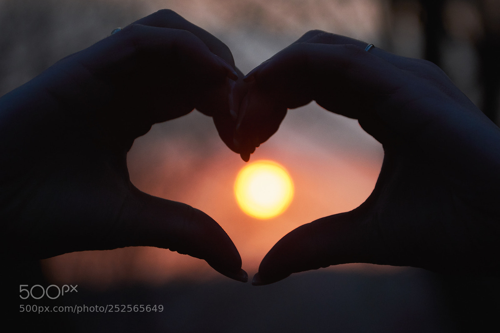 Nikon D7200 sample photo. Sunset love photography