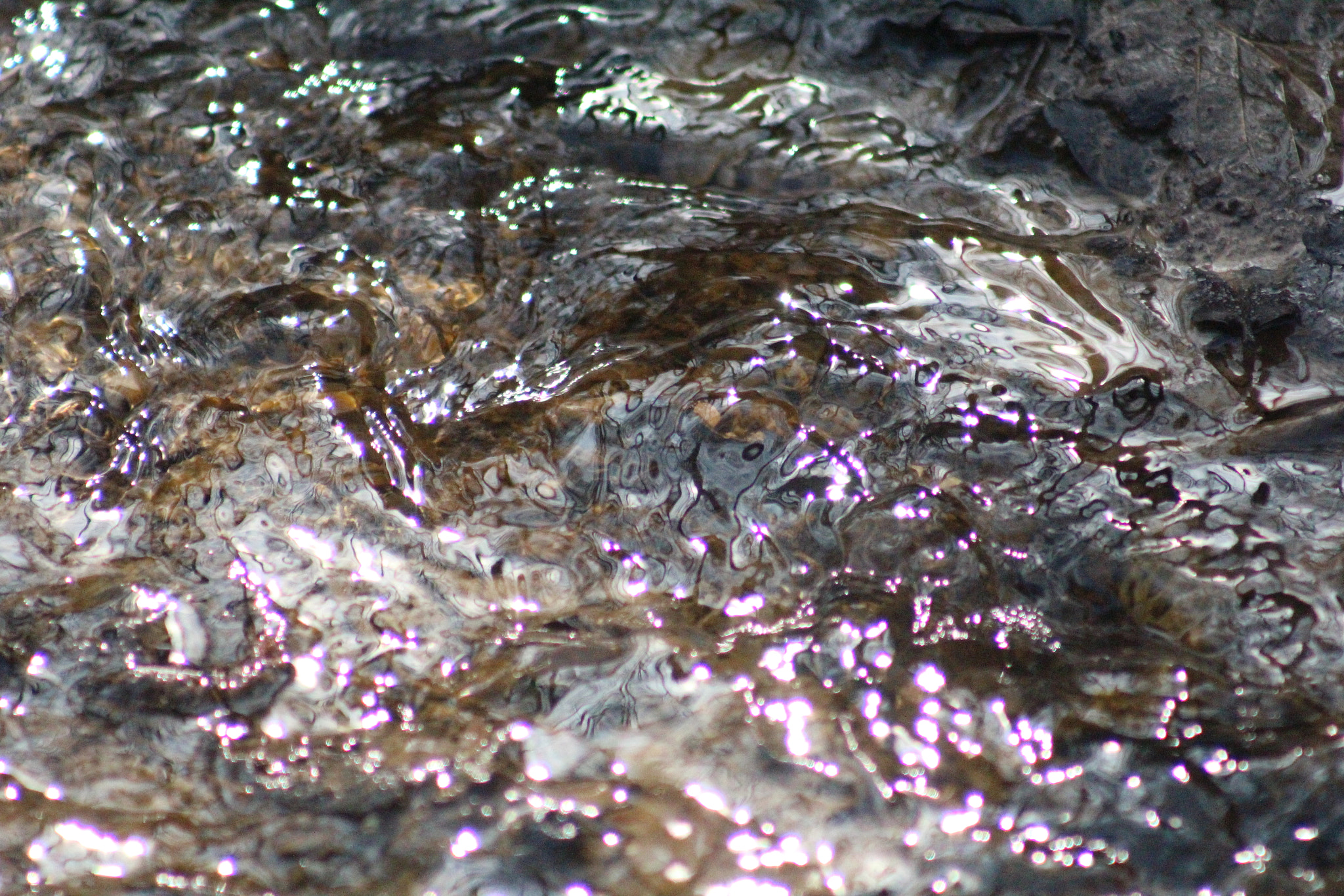Canon EF 75-300mm f/4-5.6 USM sample photo. Img photography