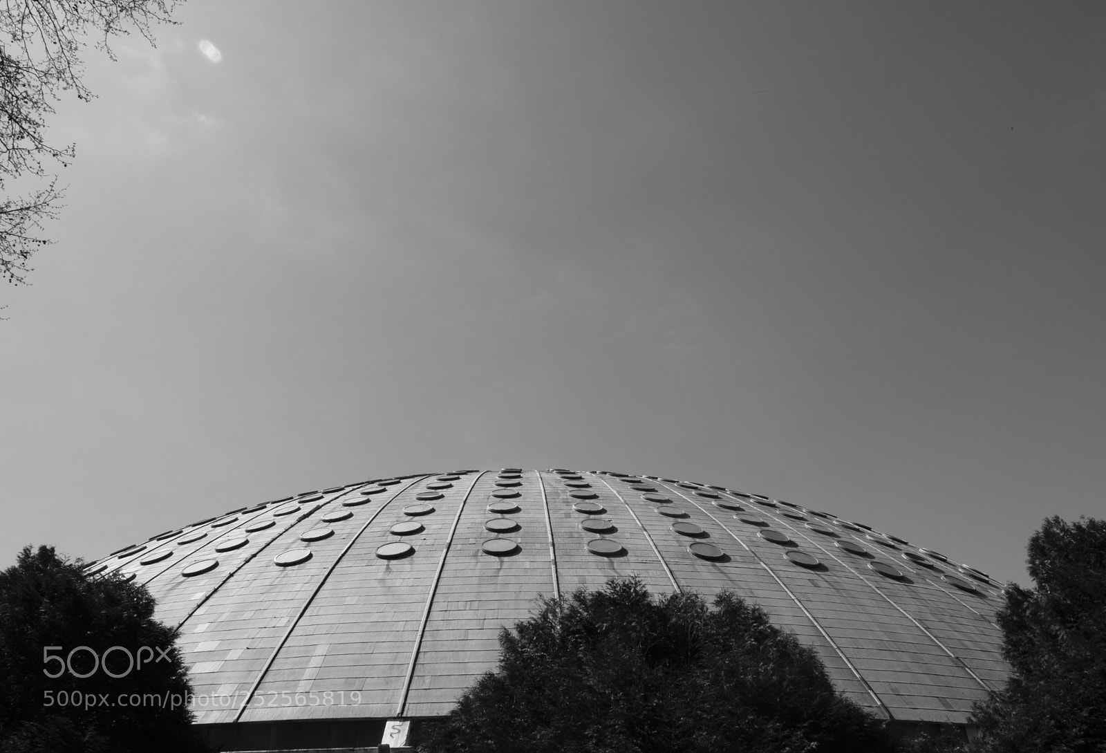Fujifilm X-T20 sample photo. 20180327_3175.jpg photography
