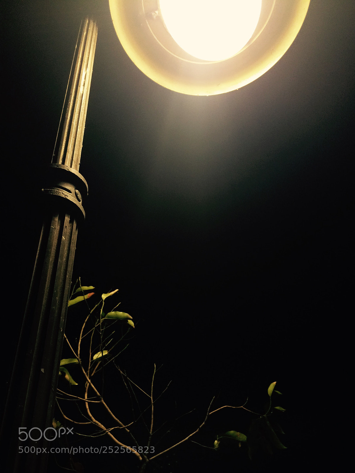 Apple iPhone 5s sample photo. Walk in the dark  photography