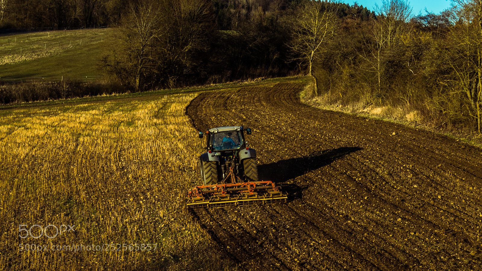 Nikon D3200 sample photo. I farm you eat photography