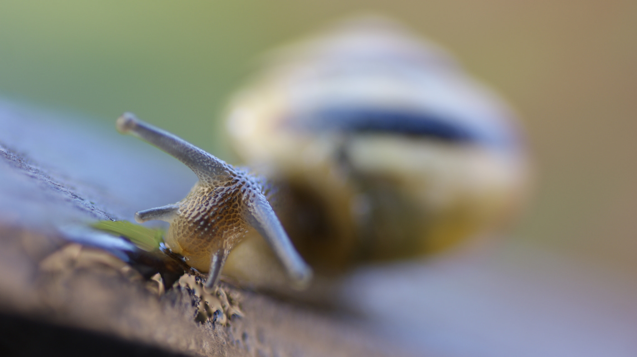 Sony Alpha DSLR-A390 sample photo. Snail trail photography