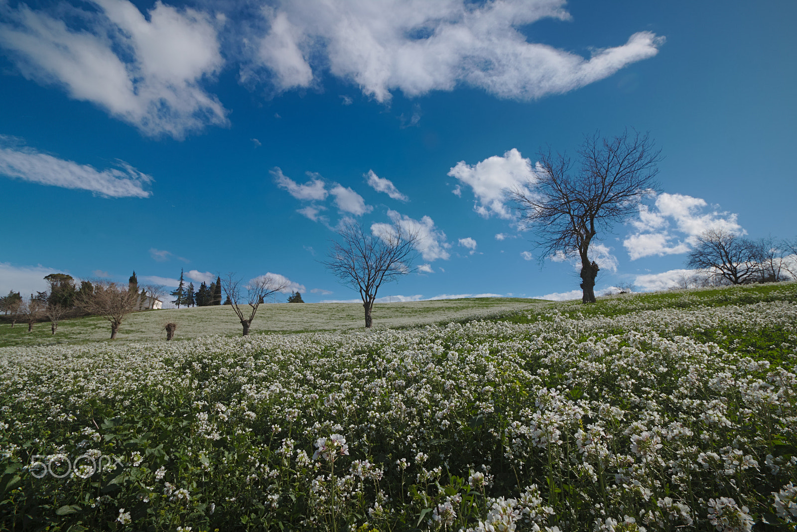 Canon EOS 70D sample photo. Under this sky photography