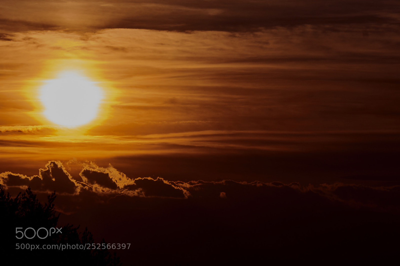 Nikon D7200 sample photo. Split sunset photography