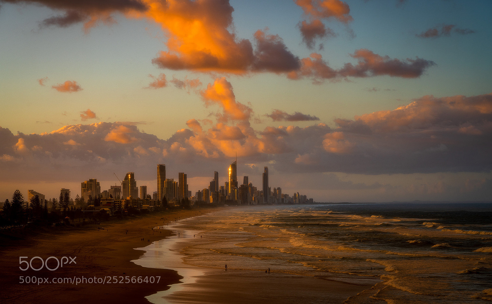 Sony a7R III sample photo. Gold coast photography