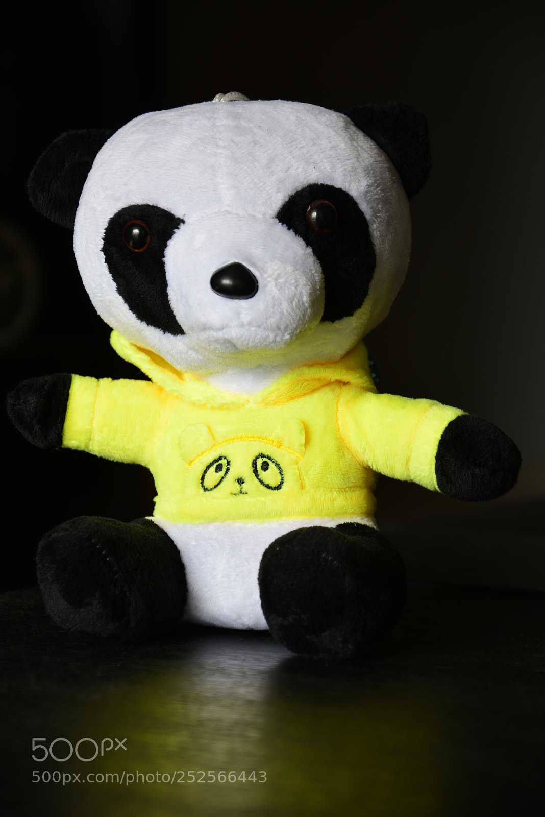 Nikon D5200 sample photo. Panda soft toy with photography