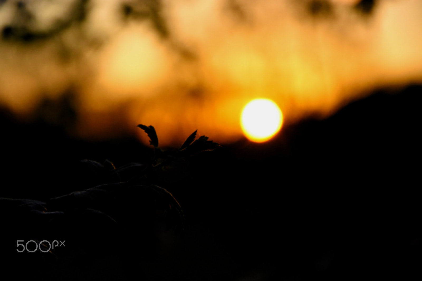 Nikon D7200 sample photo. Wtf photography