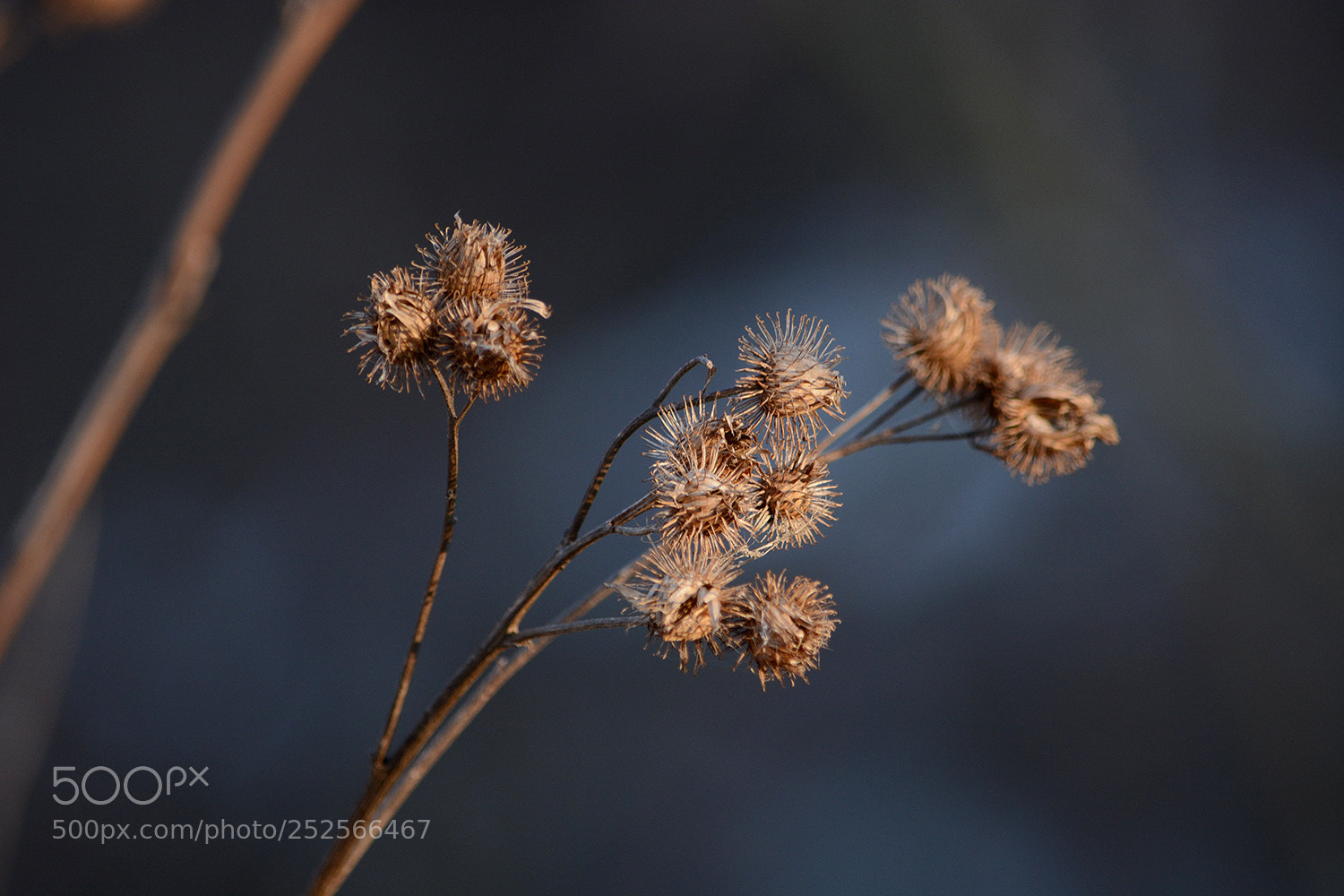 Nikon D7100 sample photo. Акценты весеннего света... photography