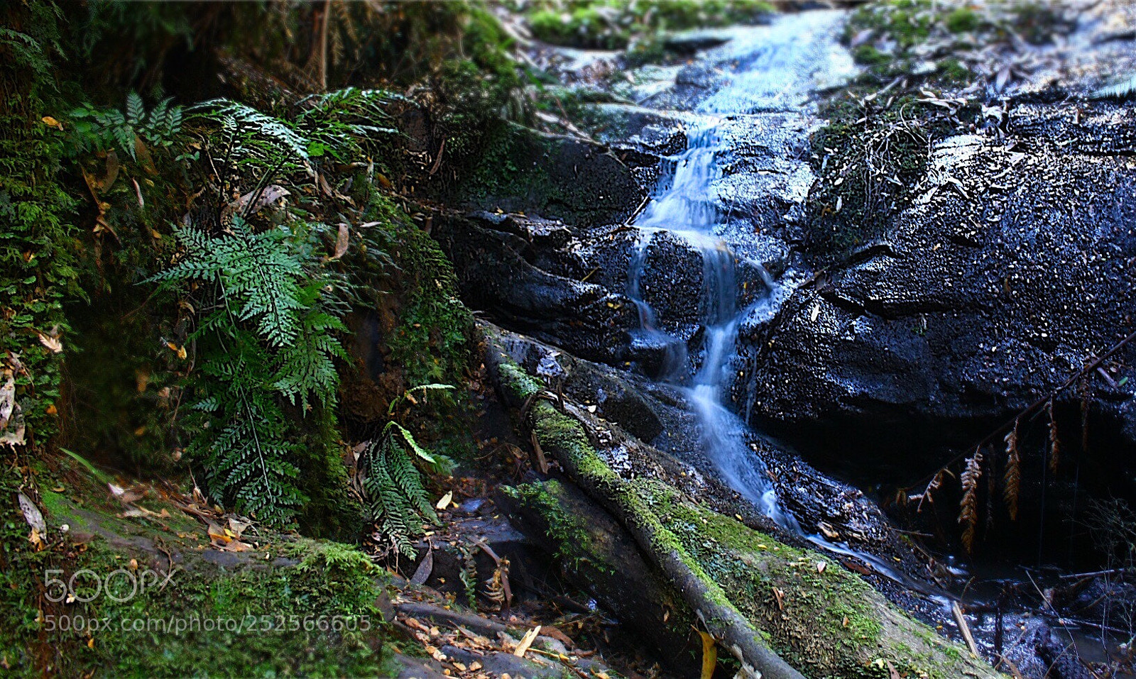 Canon EOS 450D (EOS Rebel XSi / EOS Kiss X2) sample photo. Long exposures  photography