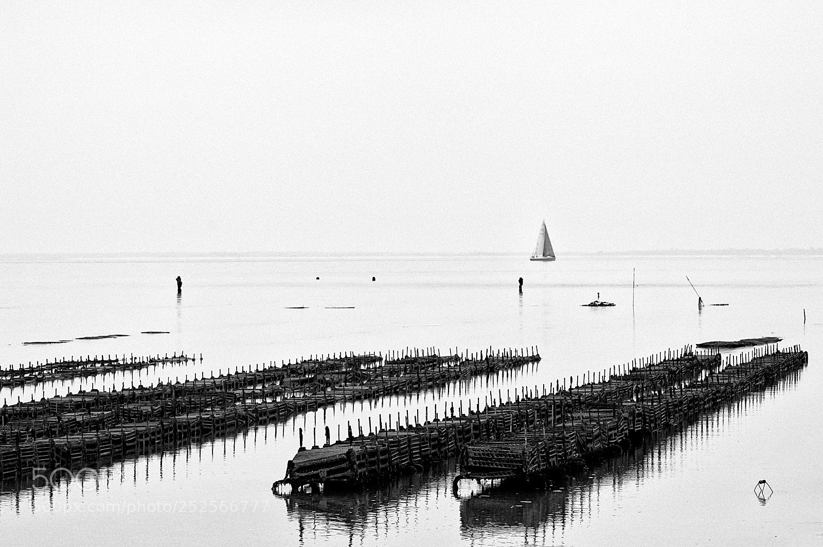 Nikon D70 sample photo. La voile et les photography