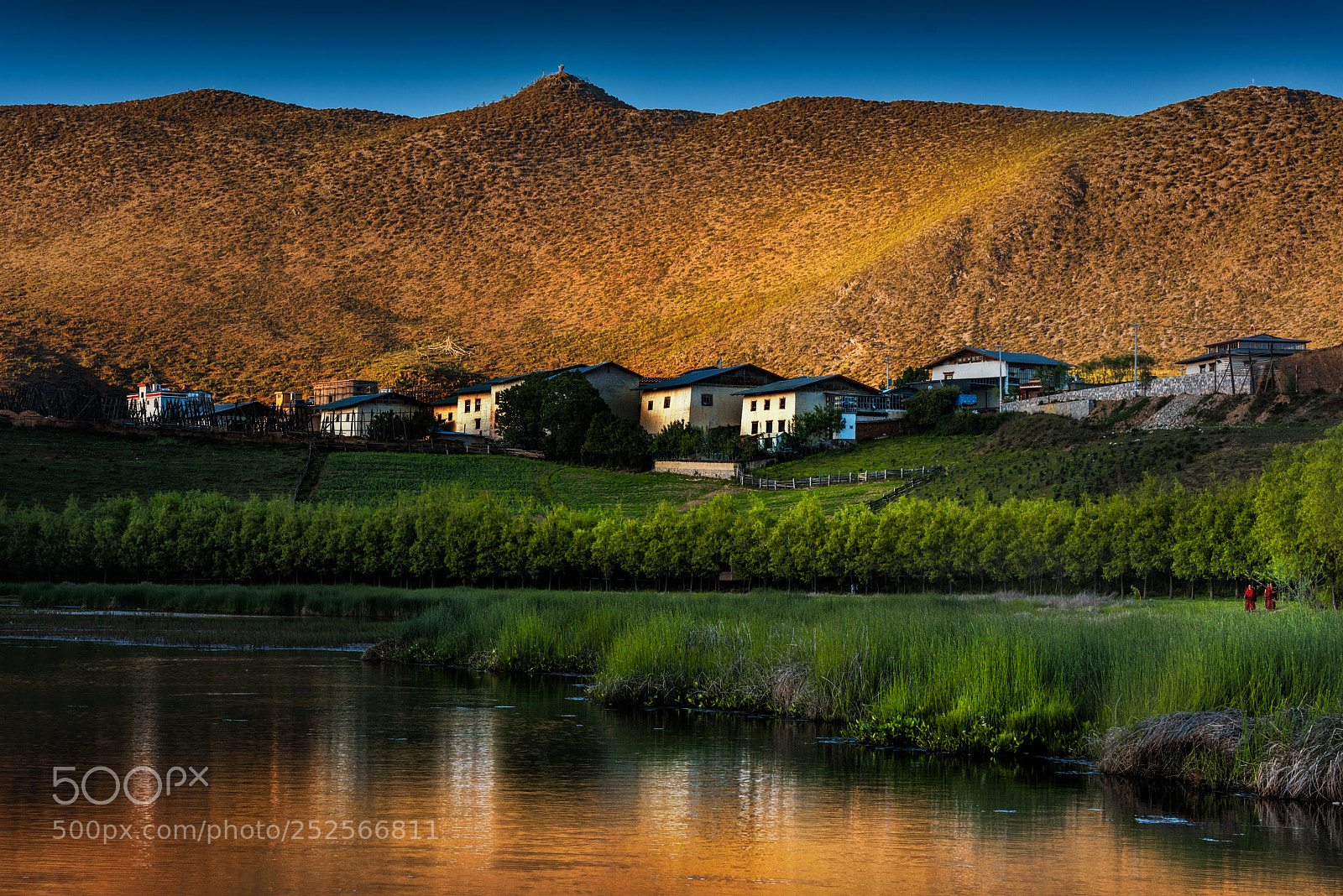 Nikon D810 sample photo. Shangri-la summer photography