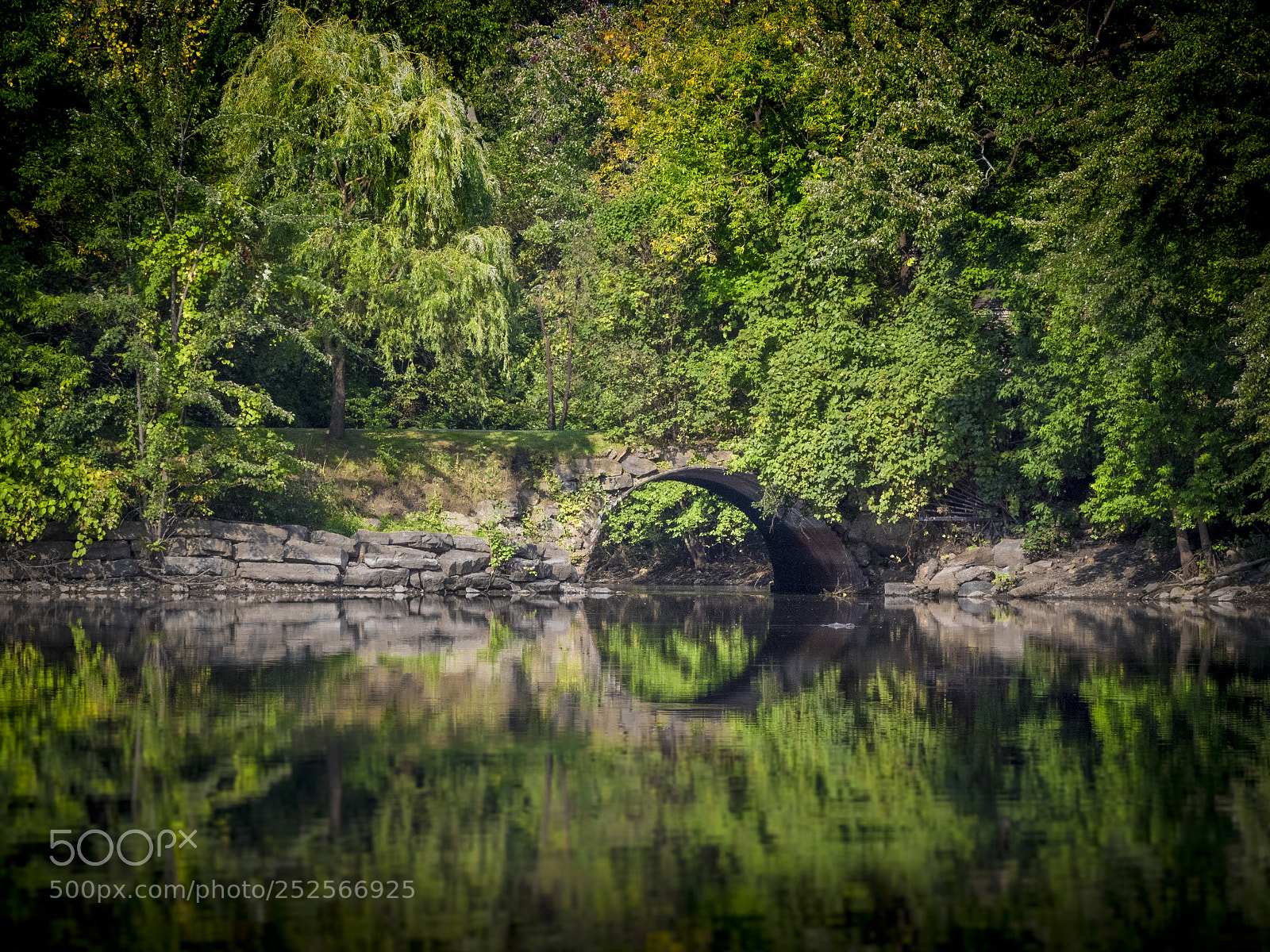 Olympus OM-D E-M1 sample photo. Reflection photography