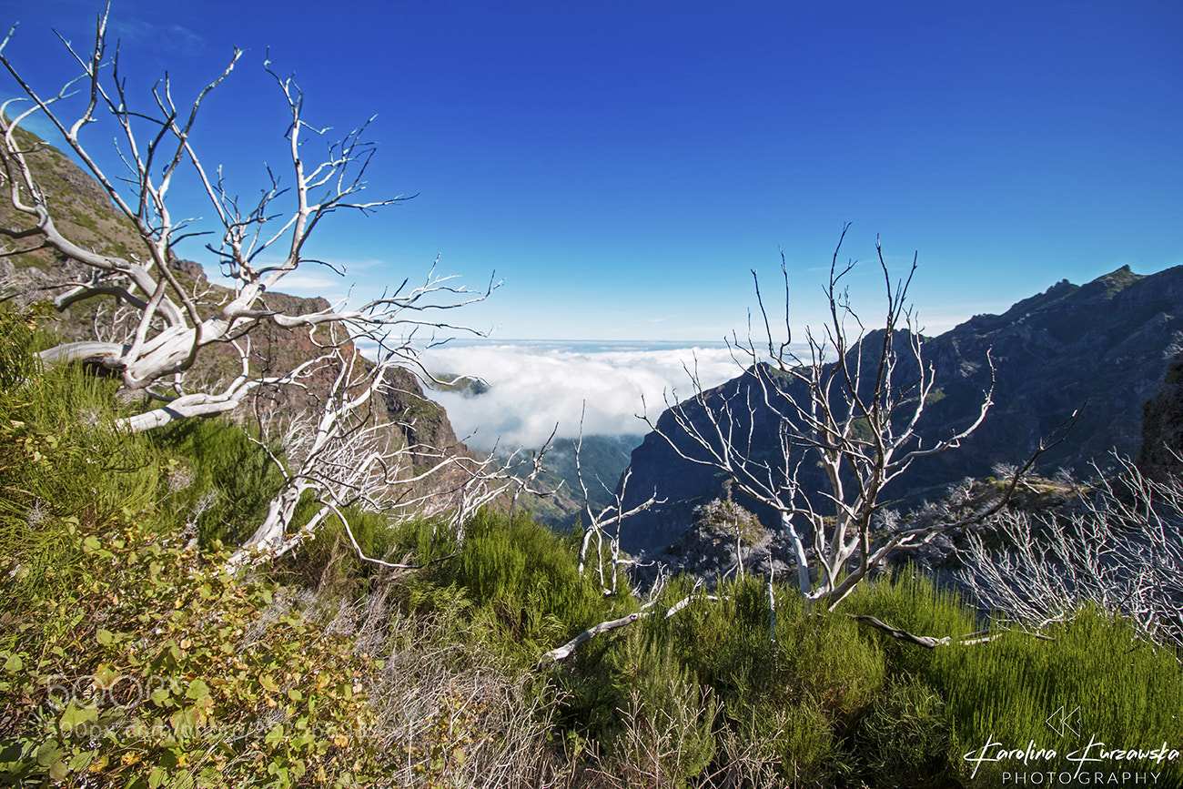 Canon EOS 70D sample photo. Lovely view photography
