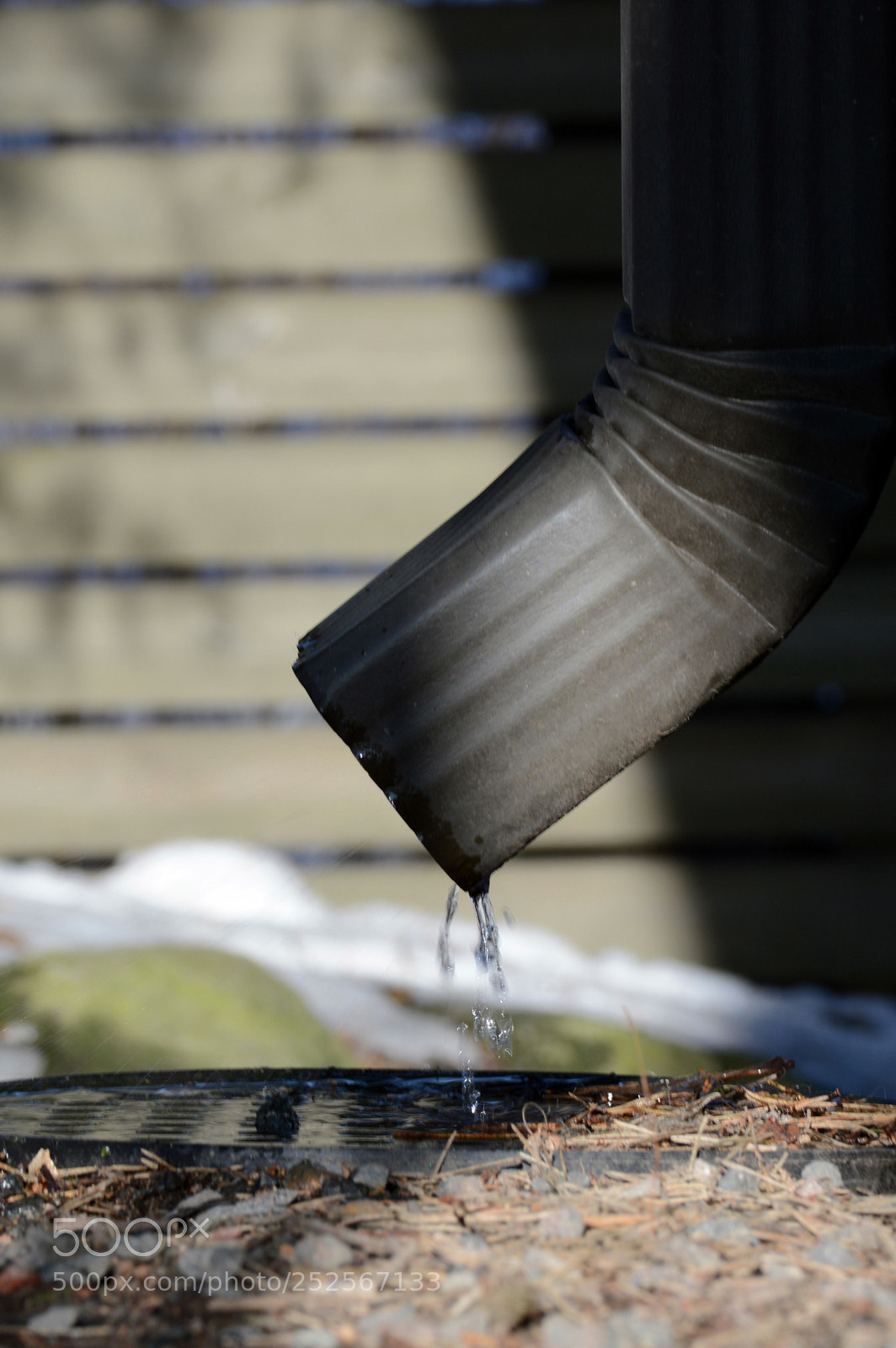 Nikon D3200 sample photo. Untitled photography