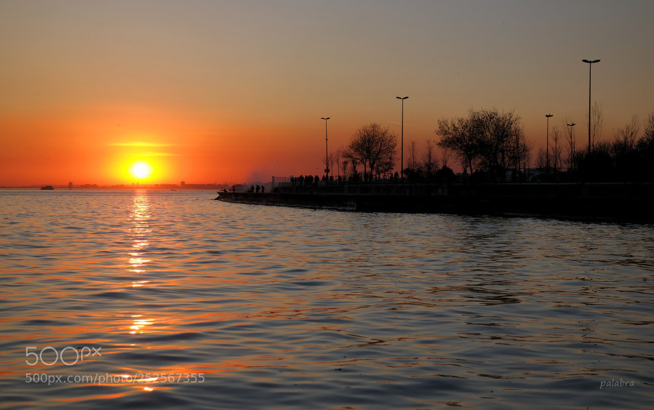 Samsung NX30 sample photo. ... photography