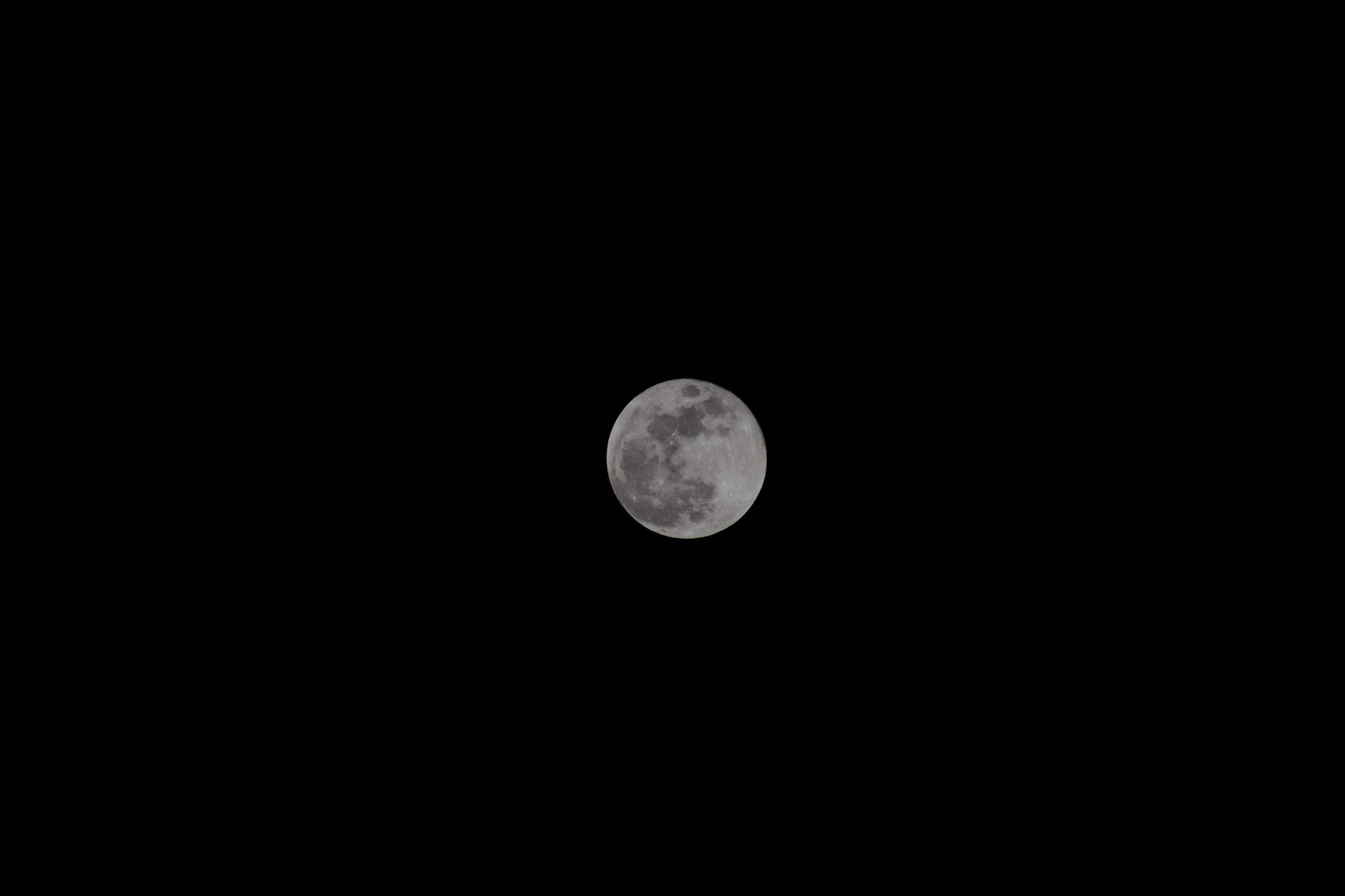 Sigma 70-300mm F4-5.6 APO DG Macro sample photo. Distance friend photography