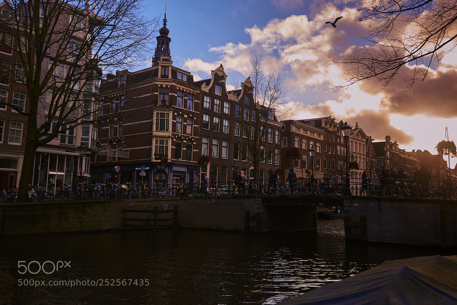 Nikon D7200 sample photo. Amsterdam photography