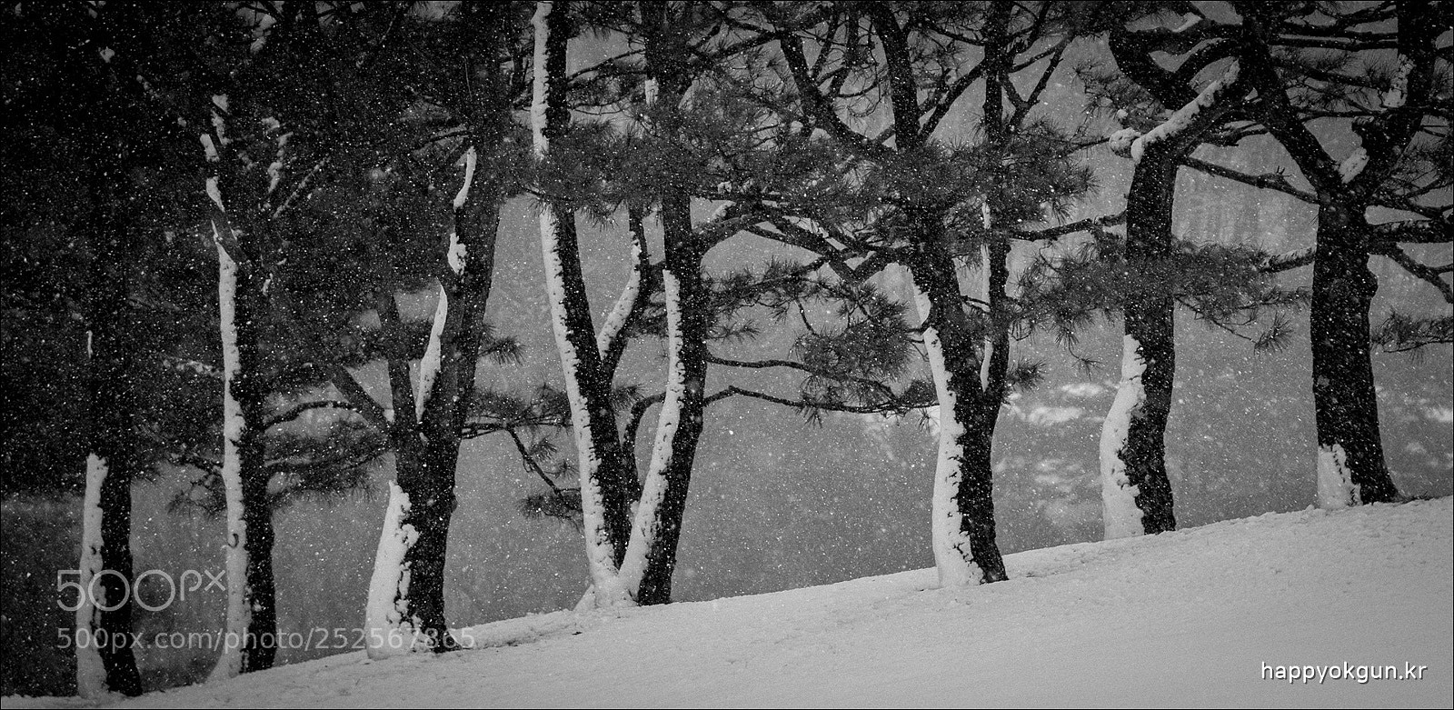 Sony a6000 sample photo. Spring snow photography