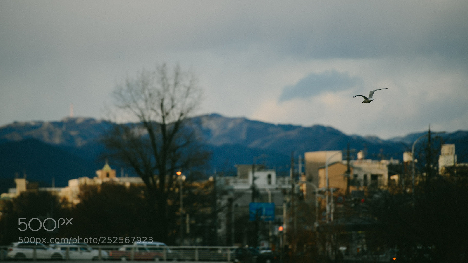 Nikon D800 sample photo. Untitled photography