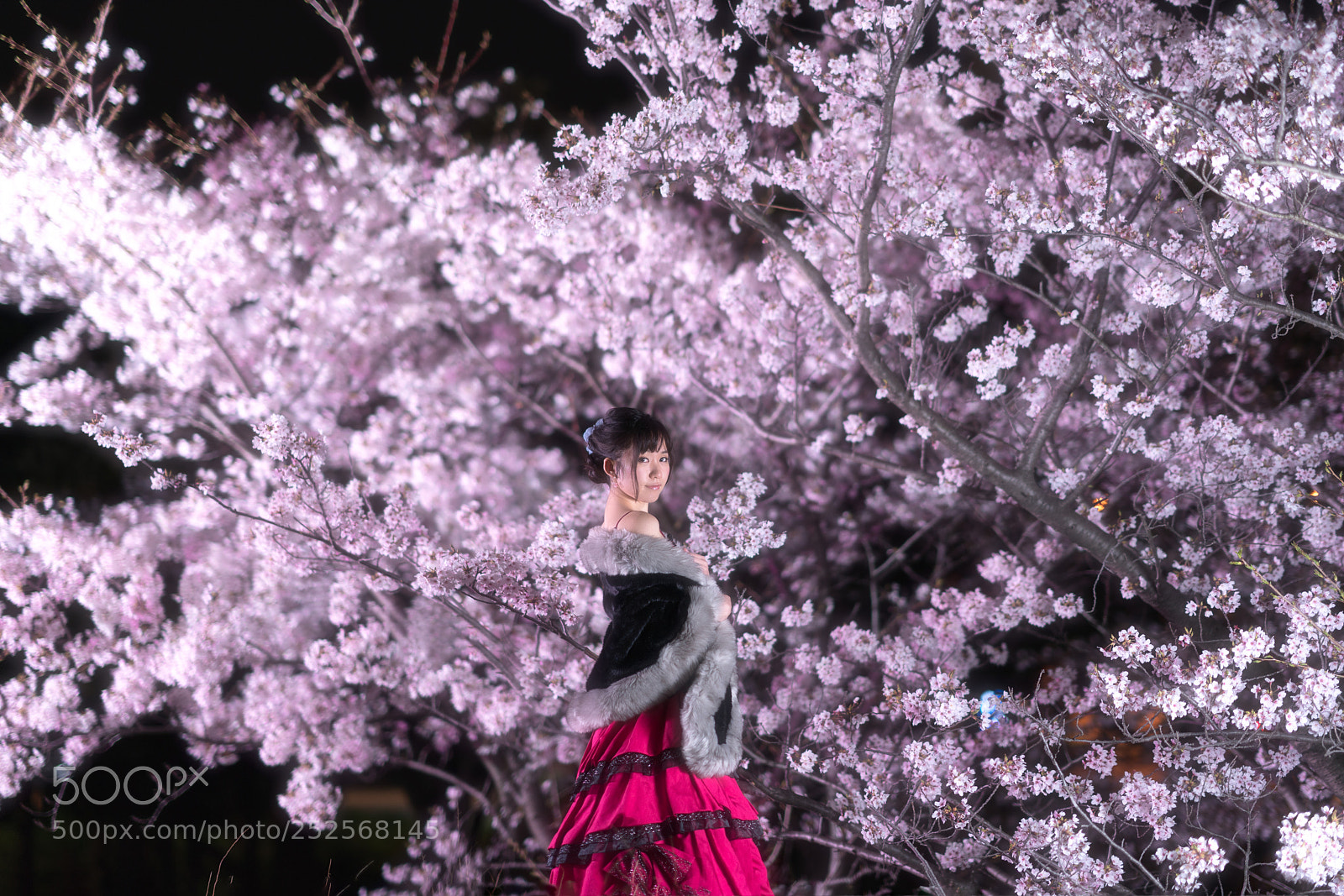 Sony a7R III sample photo. Night portrait photography