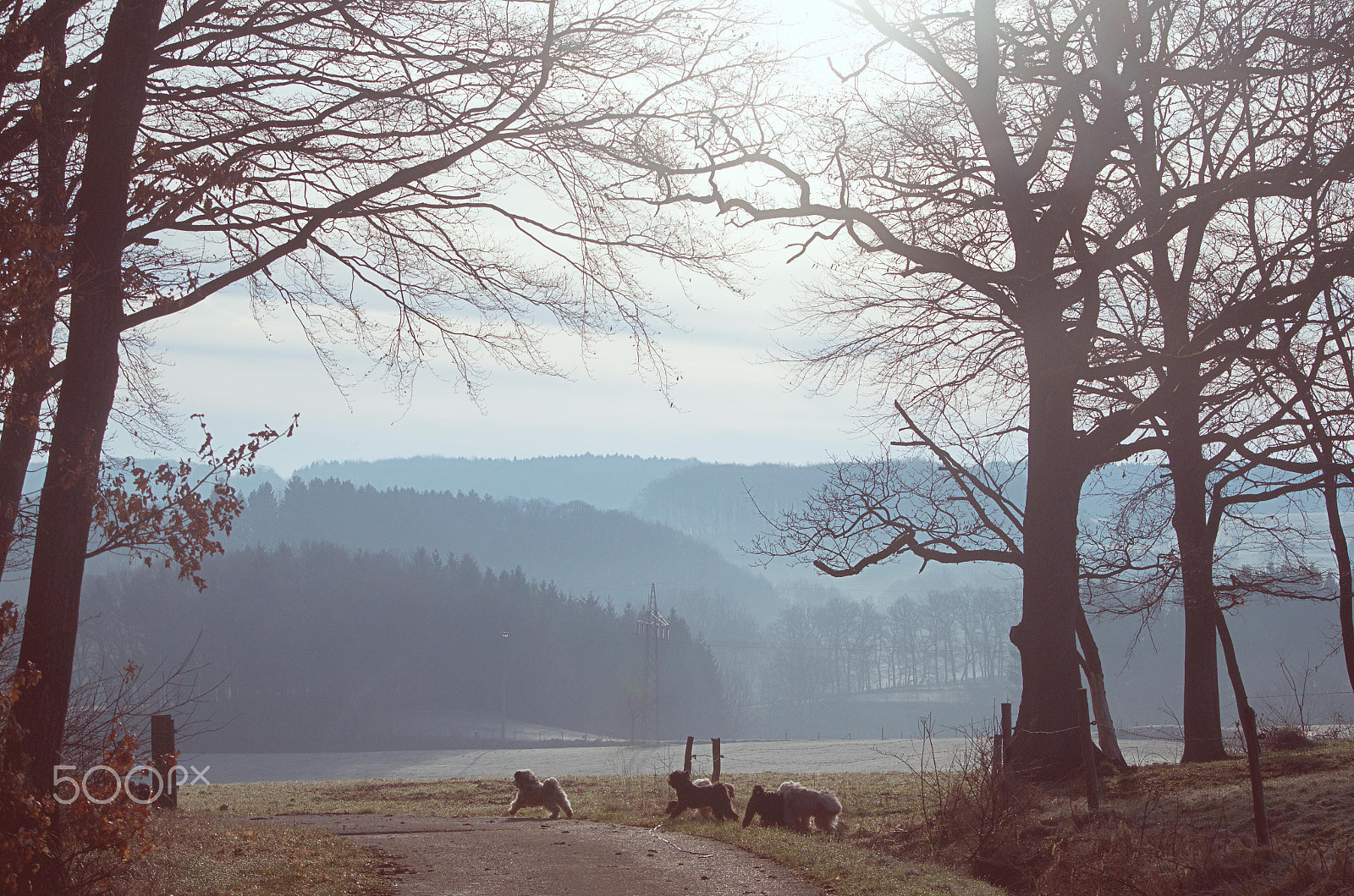 Nikon D5100 sample photo. Morning photography