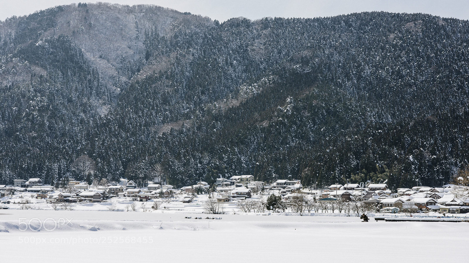 Nikon D800 sample photo. Untitled photography