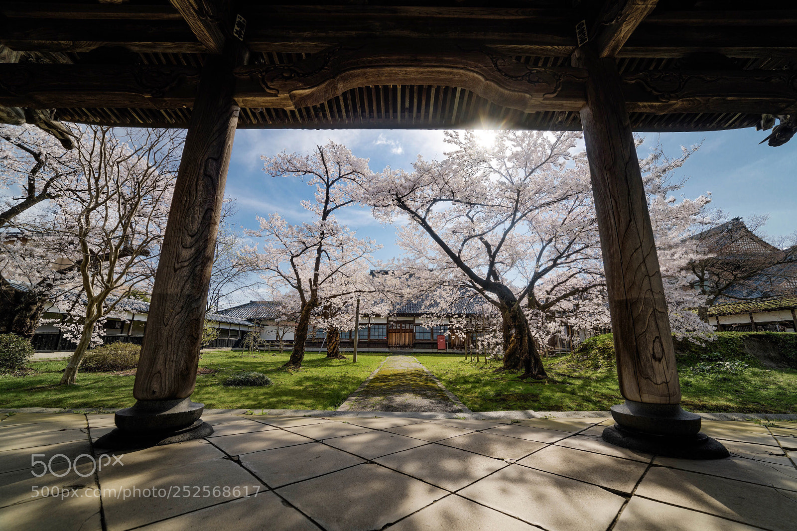 Nikon D850 sample photo. Hoko-ji photography
