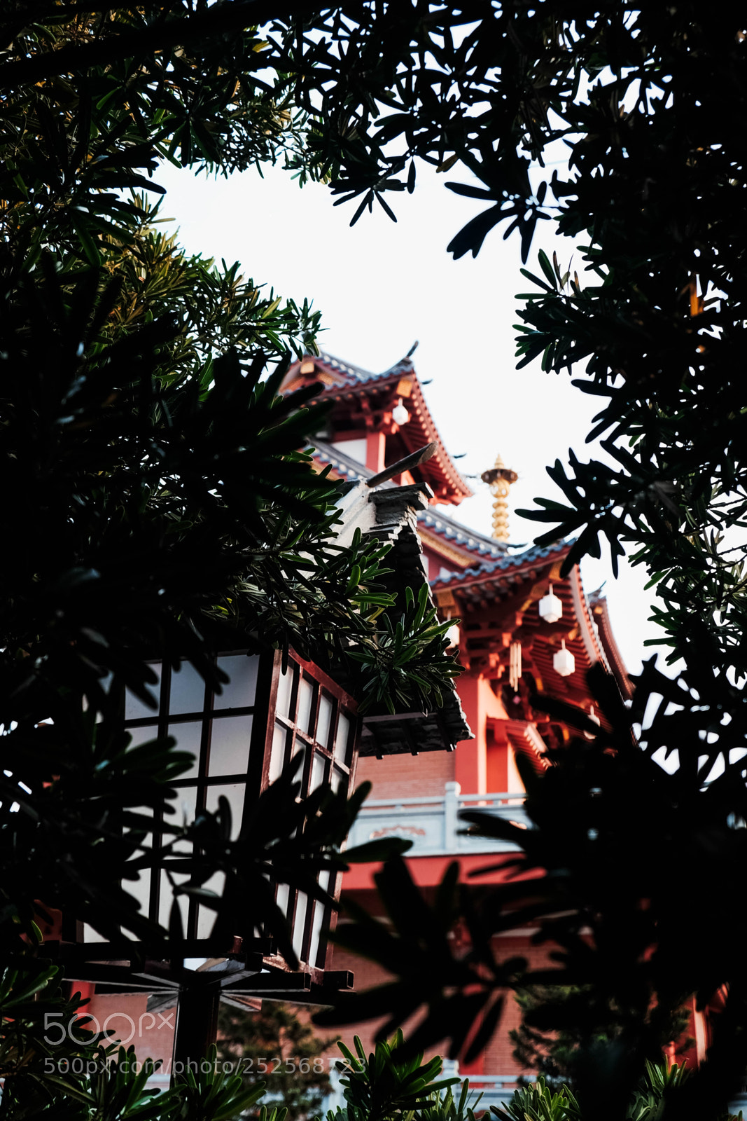 Fujifilm X-T1 sample photo. Tu vi n kh photography