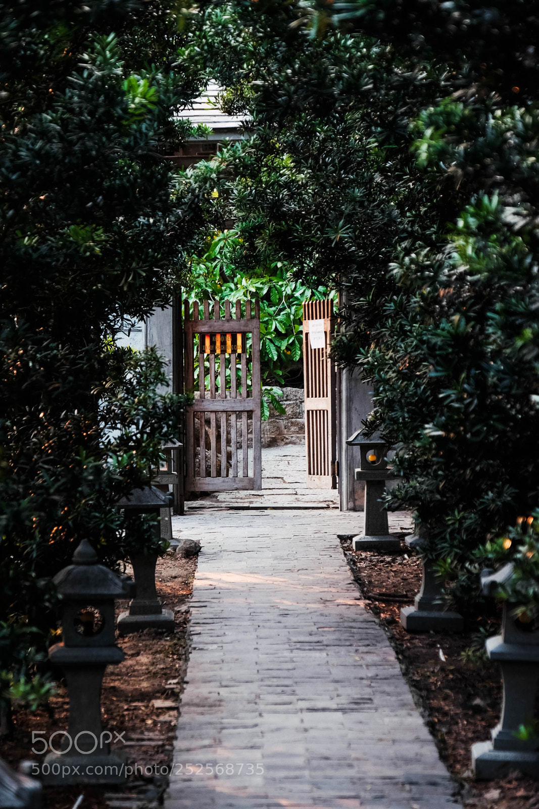Fujifilm X-T1 sample photo. Tu vi n kh photography