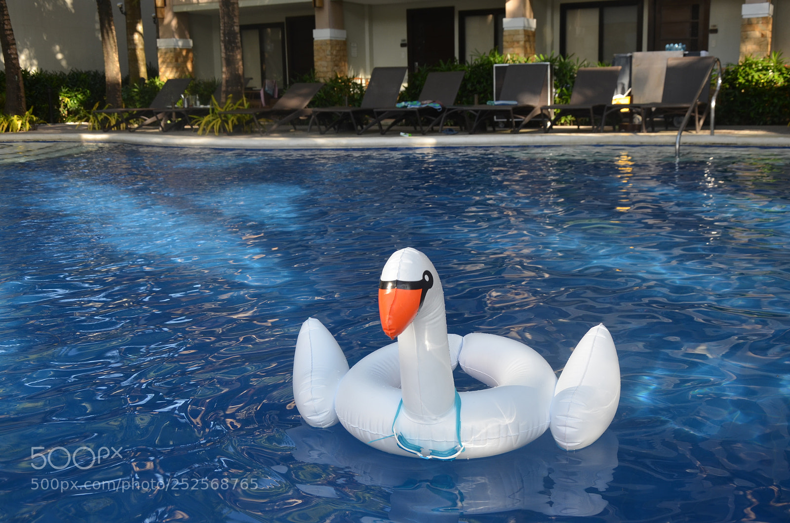 Nikon D5100 sample photo. Goose photography