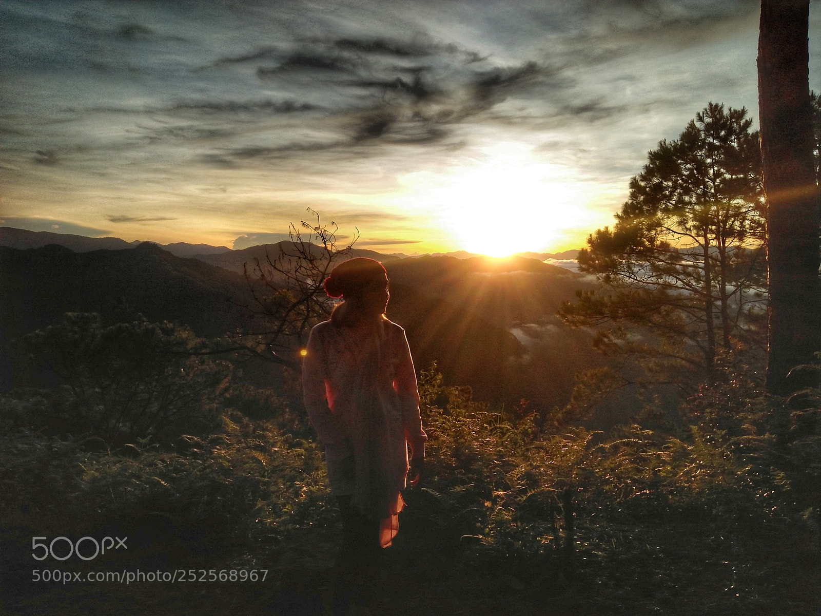 OPPO A37fw-International sample photo. Sunrise. photography