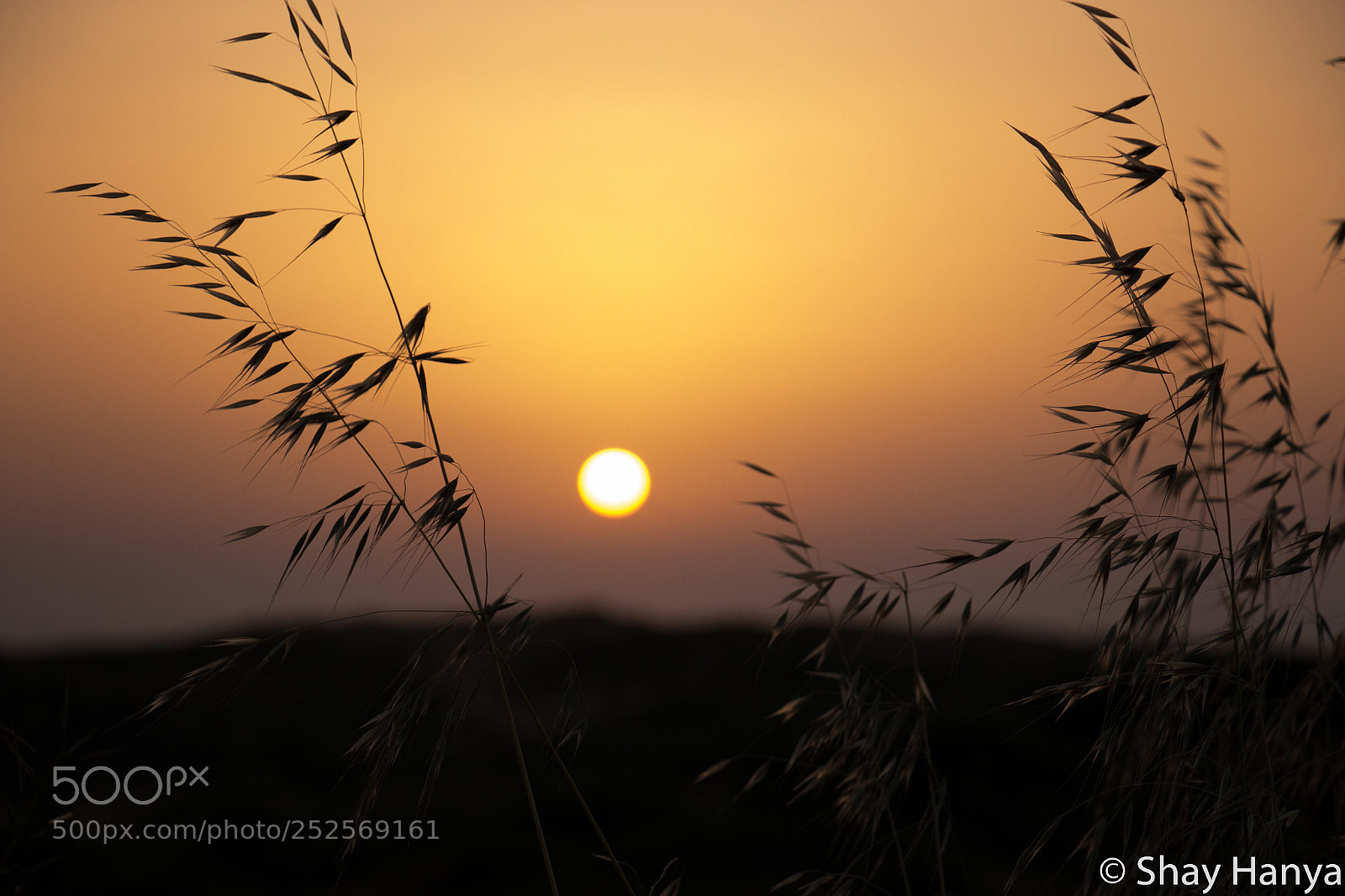 Canon EOS 70D sample photo. Sunset photography