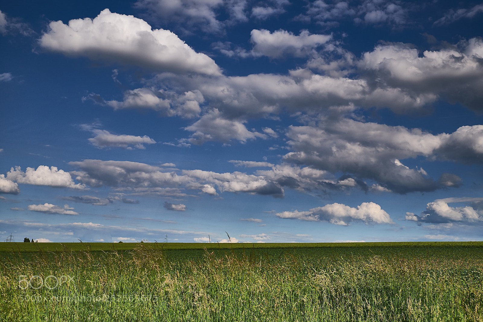 Fujifilm X-T1 sample photo. The weather is sweet photography