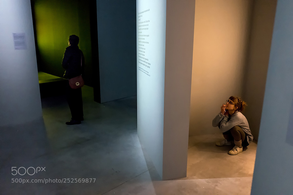 Leica Q (Typ 116) sample photo. Two visitors photography