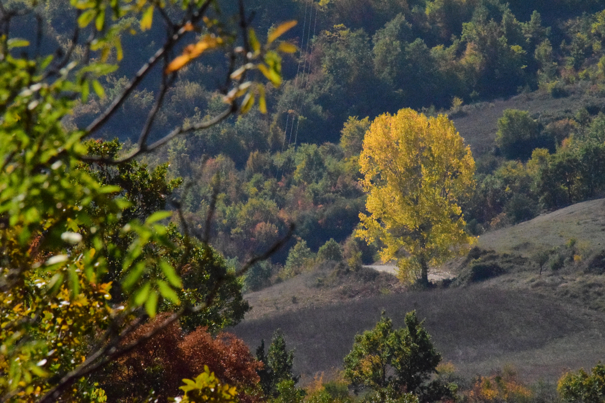 Sigma 70-300mm F4-5.6 APO DG Macro sample photo. Autumn slumber photography