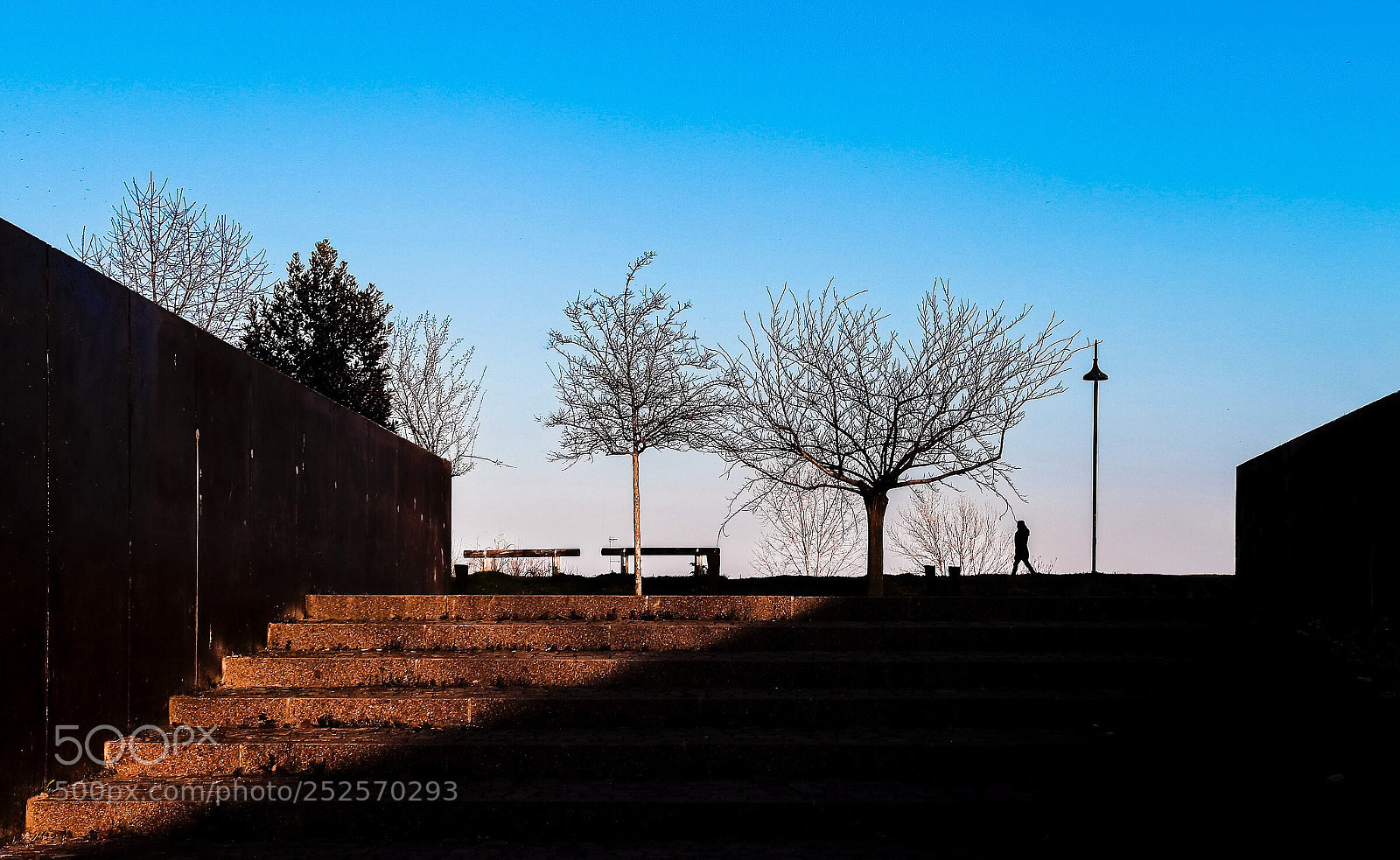 Canon EOS 200D (EOS Rebel SL2 / EOS Kiss X9) sample photo. The stairway photography
