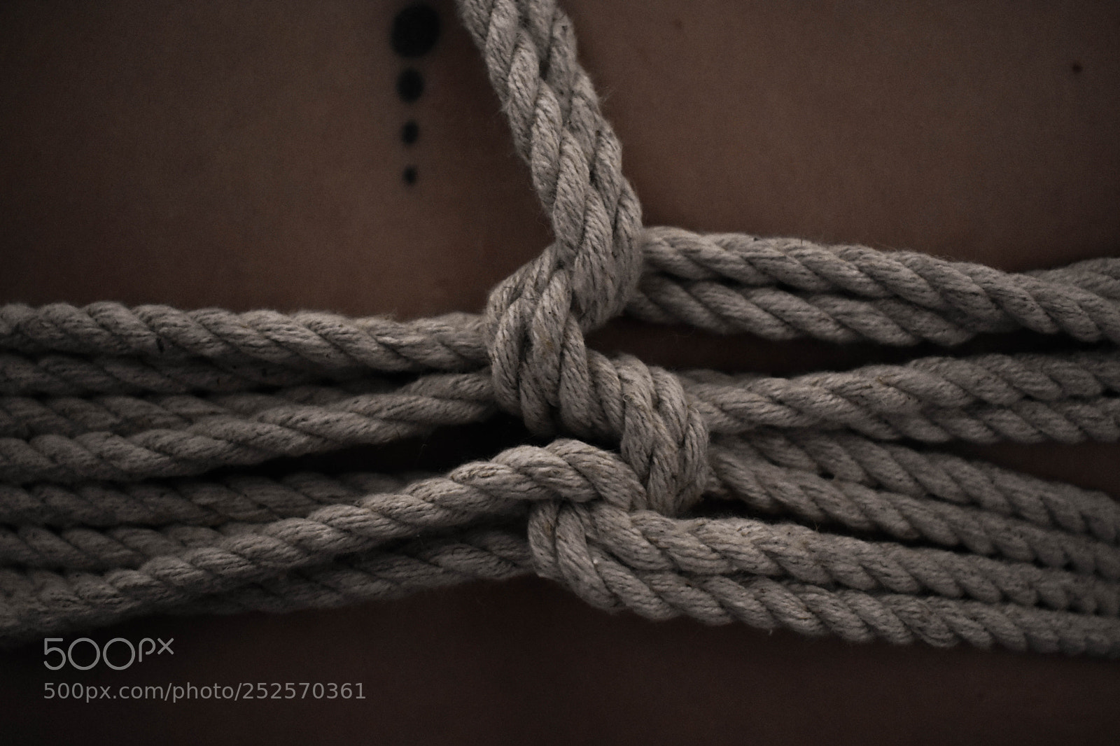 Nikon D3400 sample photo. Untitled photography