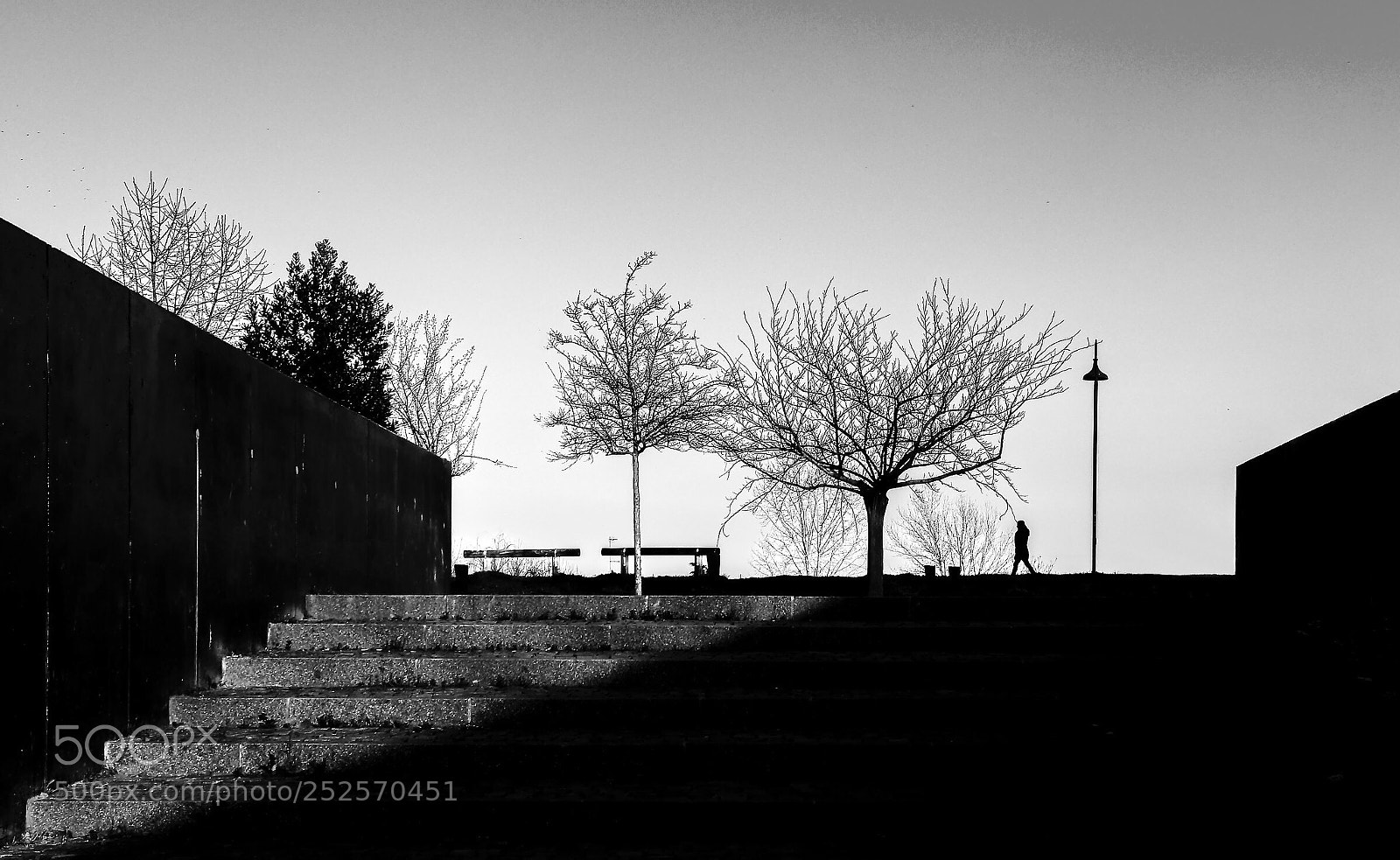 Canon EOS 200D (EOS Rebel SL2 / EOS Kiss X9) sample photo. The stairway  photography