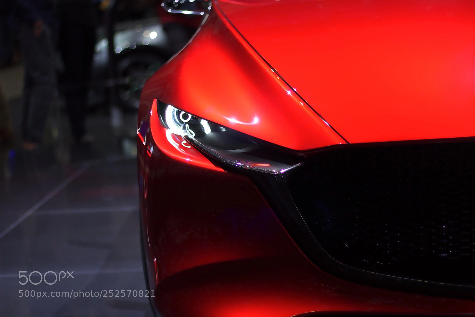 Canon EOS 600D (Rebel EOS T3i / EOS Kiss X5) sample photo. Red look photography