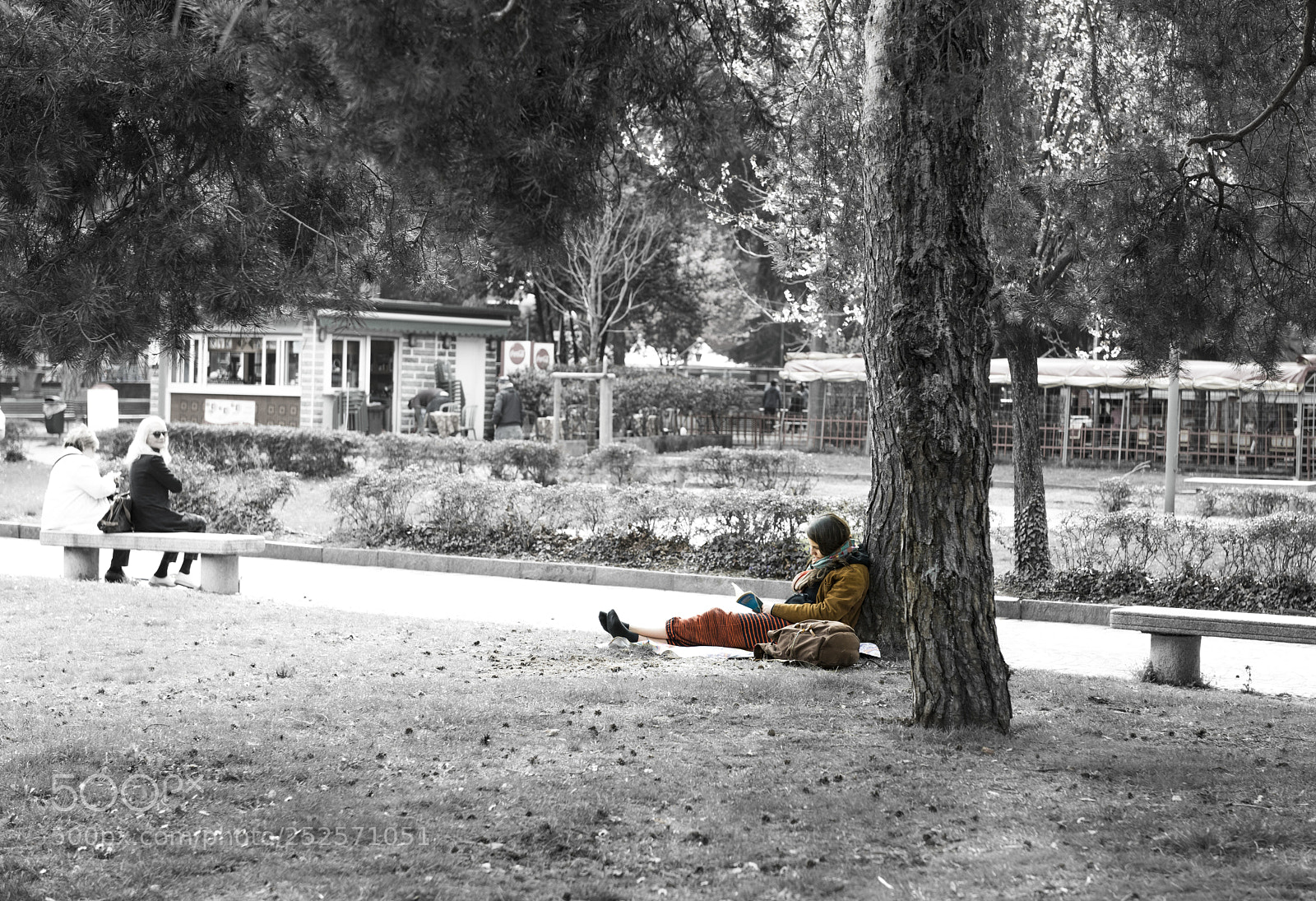 Nikon D810 sample photo. Readers are leaders photography