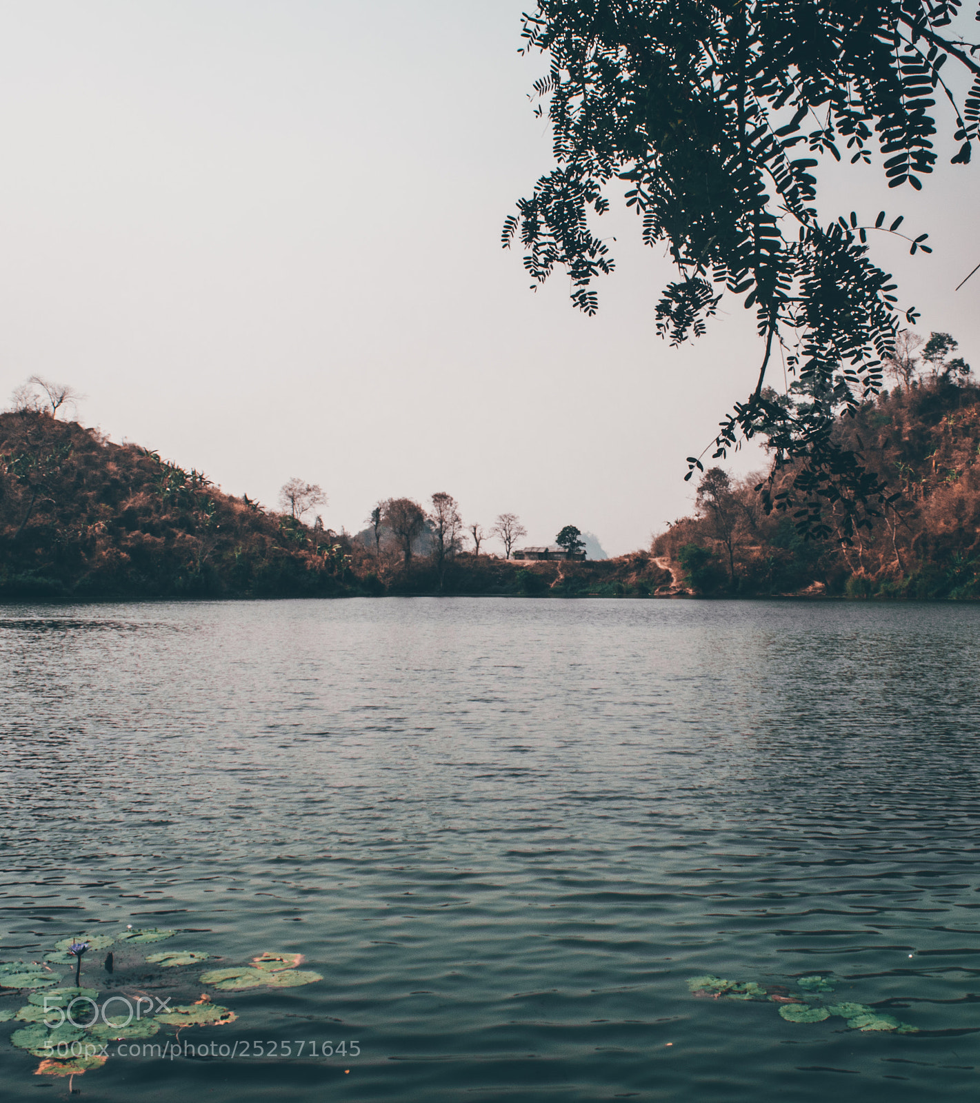 Nikon D5600 sample photo. Boga lake photography