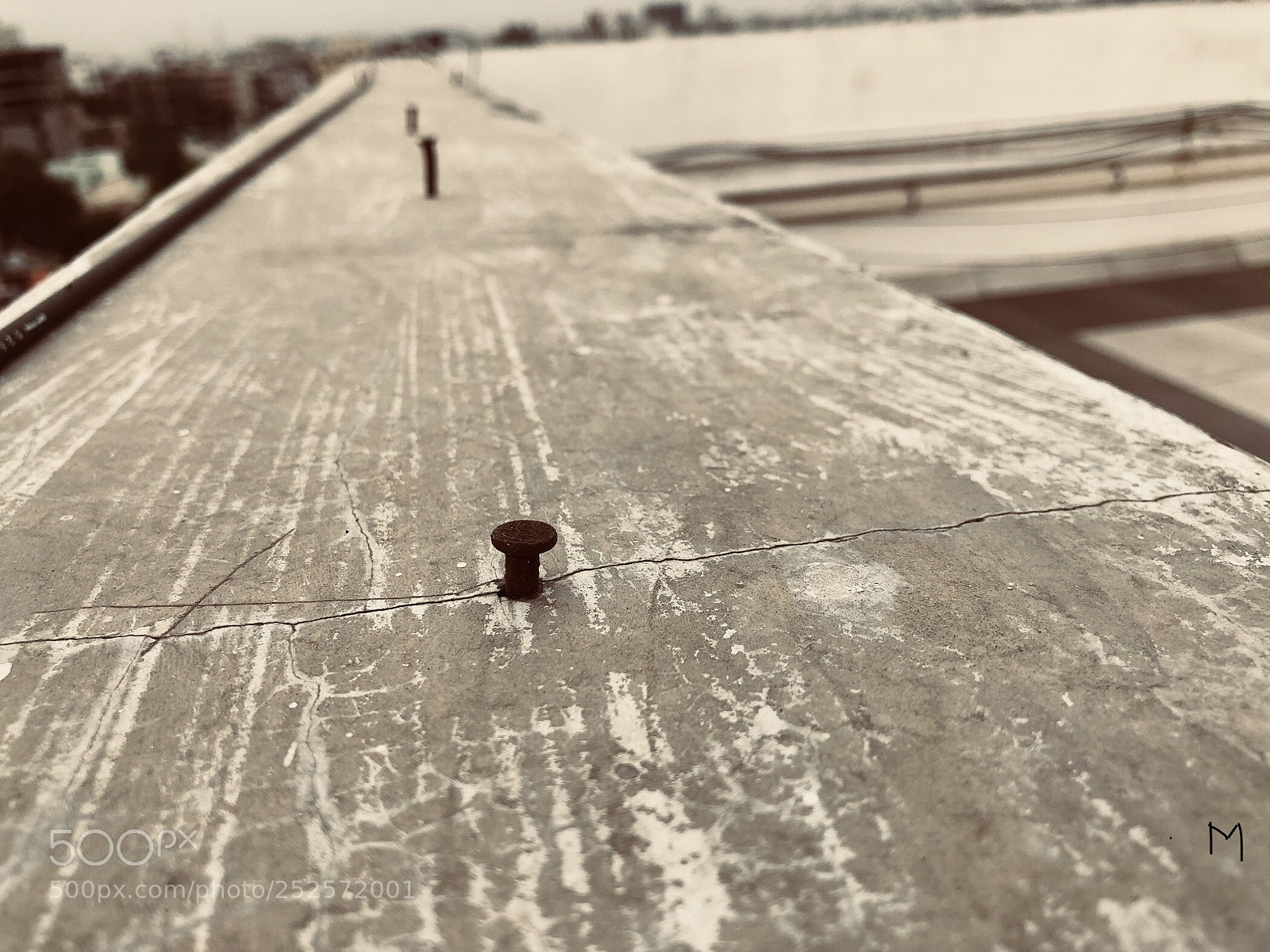Apple iPhone 8 Plus sample photo. Untitled photography