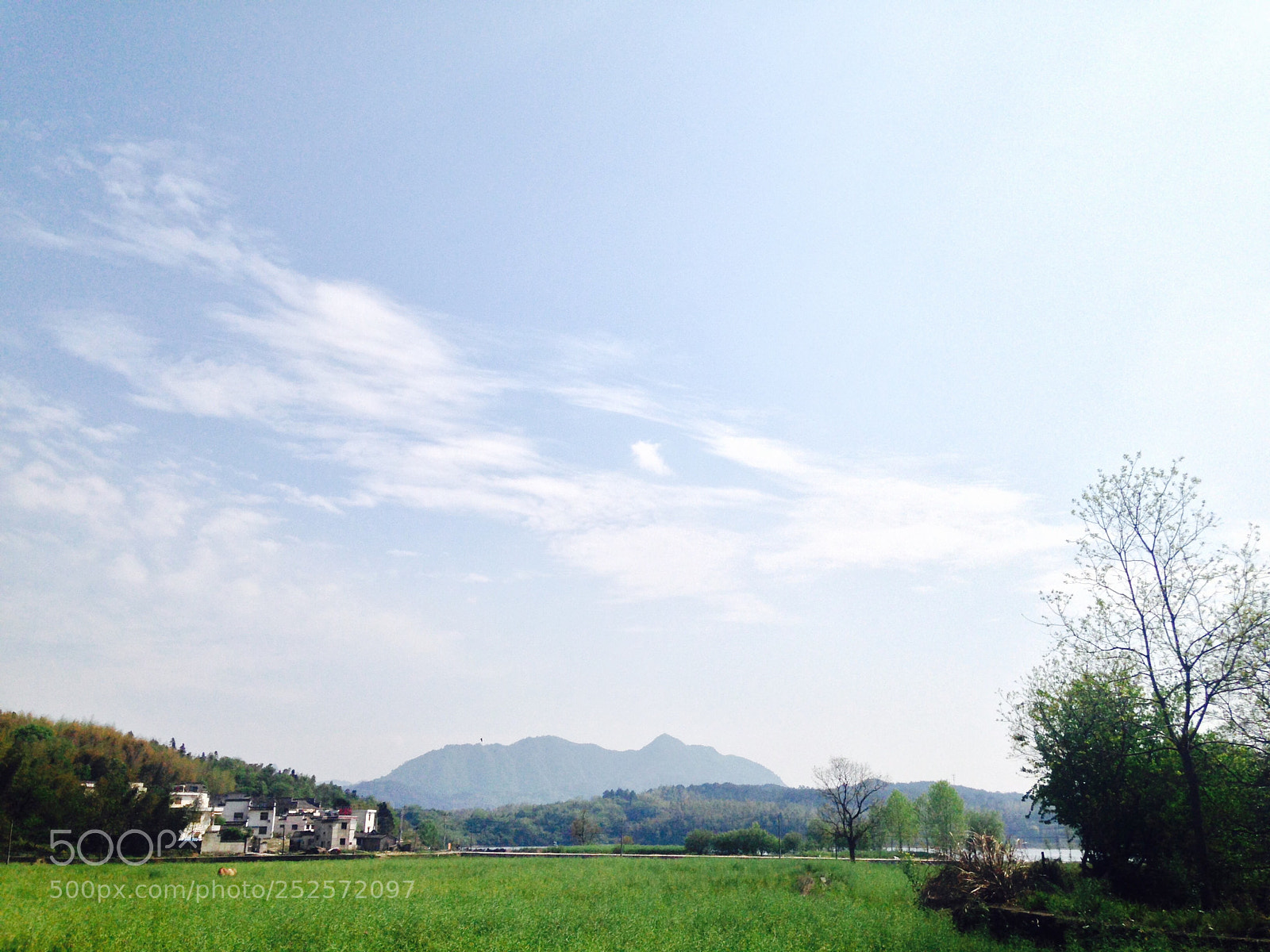 Apple iPhone 5c sample photo. Untitled photography