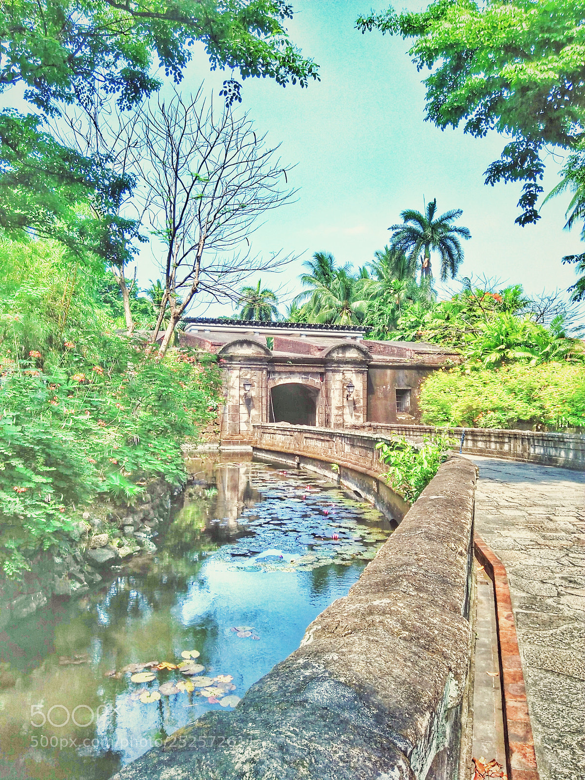 OPPO A37fw-International sample photo. Spent my weekend here. photography