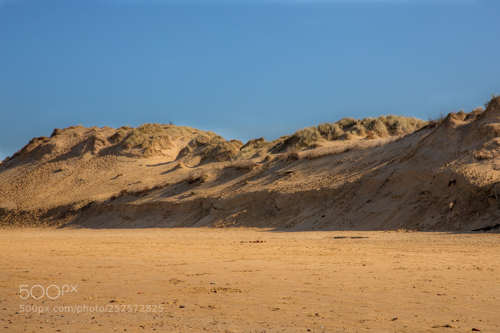 Canon EOS 5D Mark IV sample photo. Dunes photography