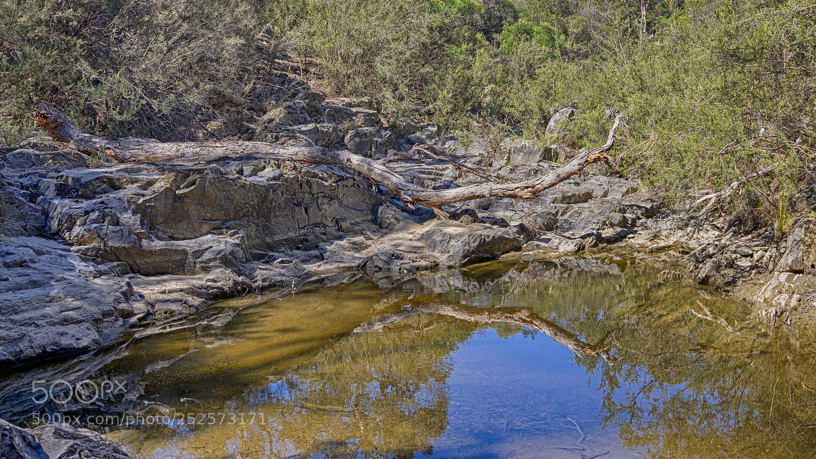 Fujifilm X-T1 sample photo. Branch on the rocks photography