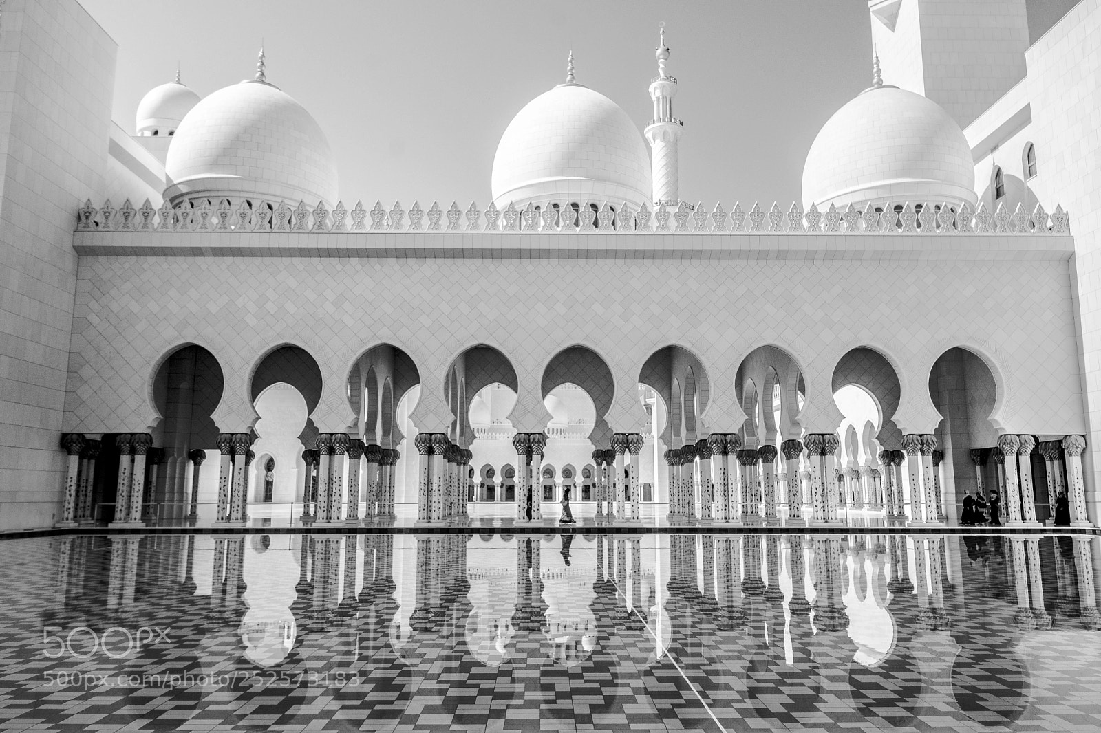 Nikon D7100 sample photo. Reflections without color photography