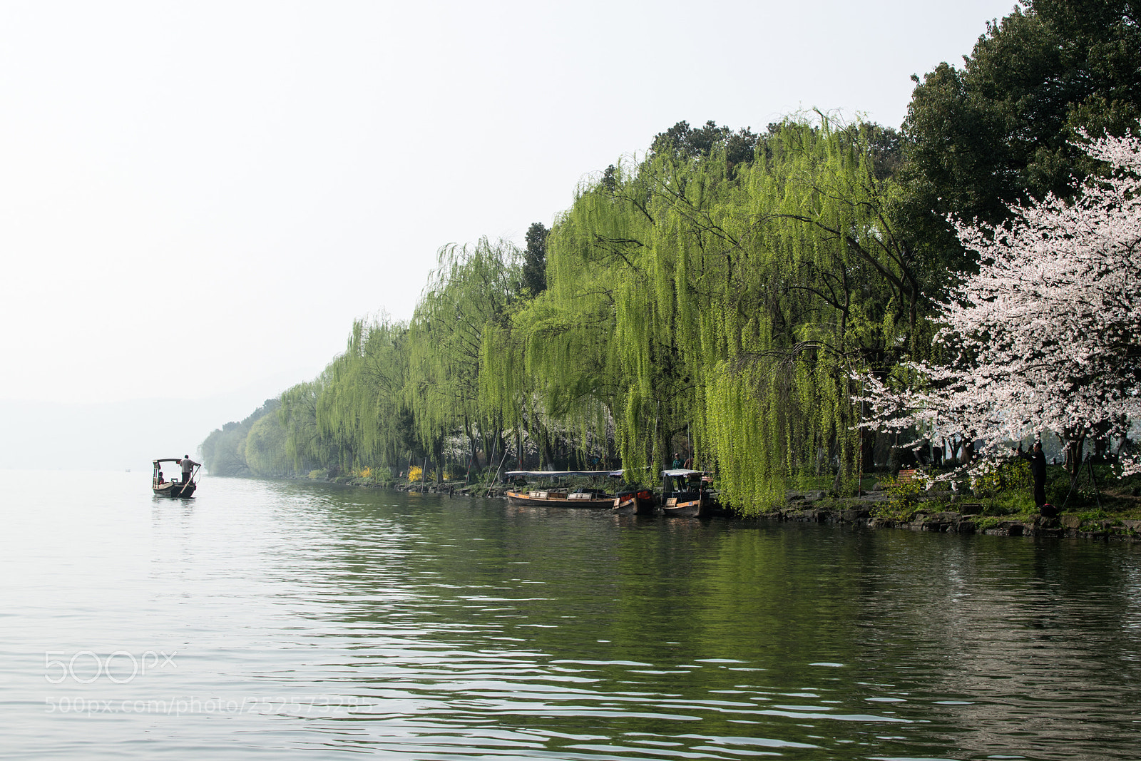 Nikon D5300 sample photo. West lake #2 photography