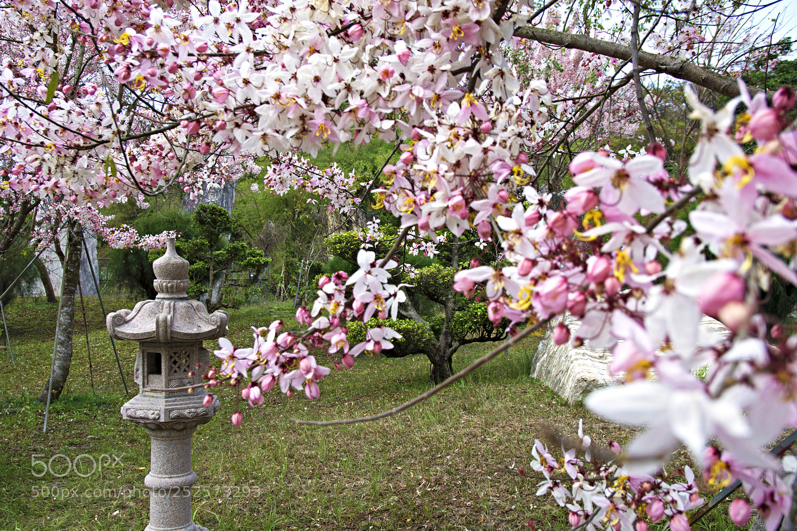 Nikon D7200 sample photo. 我喜歡三月風
四月的雨
不落的太陽
和最好的你 photography
